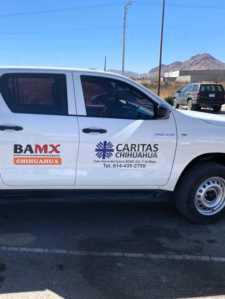 Dale vida a tu marca